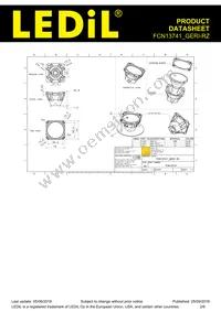 FCN13741_GERI-RZ Datasheet Page 2