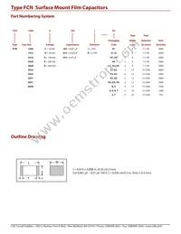 FCN2416C474J-D4 Datasheet Page 2