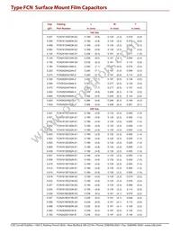 FCN2416C474J-D4 Datasheet Page 4