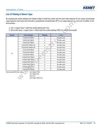 FCS0H224ZFTBR24 Datasheet Page 10