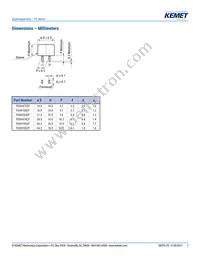 FE0H473ZF Datasheet Page 2