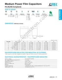 FE52N6L0206KB Datasheet Page 2