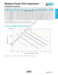 FE52N6L0206KB Datasheet Page 4