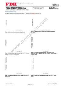 FGMD12SWR6006PA Datasheet Page 12