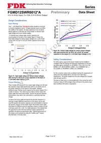 FGMD12SWR6012PA Datasheet Page 13