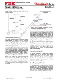 FGMS12SR6020PA Datasheet Page 9