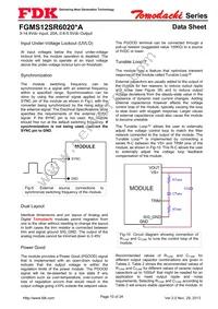 FGMS12SR6020PA Datasheet Page 10