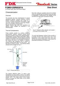 FGMS12SR6020PA Datasheet Page 12