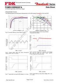 FGMS12SR6020PA Datasheet Page 13