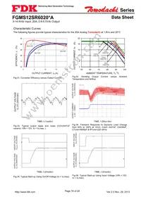 FGMS12SR6020PA Datasheet Page 16