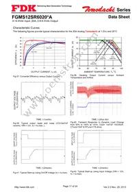 FGMS12SR6020PA Datasheet Page 17