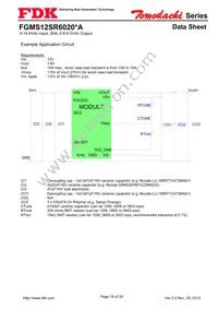 FGMS12SR6020PA Datasheet Page 19