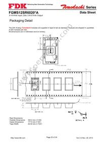 FGMS12SR6020PA Datasheet Page 22