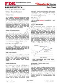 FGMS12SR6020PA Datasheet Page 23