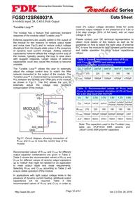 FGSD12SR6003PA Datasheet Page 12