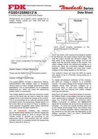 FGSD12SR6012PA Datasheet Page 10