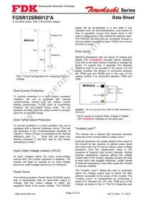 FGSR12SR6012PA Datasheet Page 9