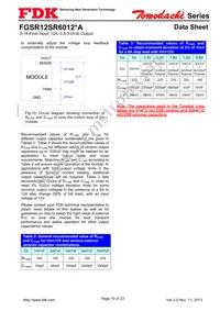 FGSR12SR6012PA Datasheet Page 10