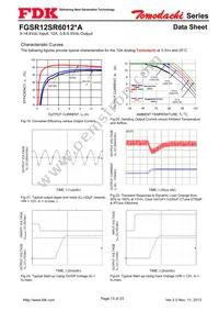 FGSR12SR6012PA Datasheet Page 13