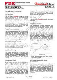 FGSR12SR6012PA Datasheet Page 22