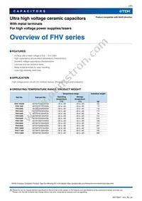 FHV-4AN Datasheet Page 3
