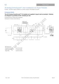 FKX003A0X3-SRZ Datasheet Page 20