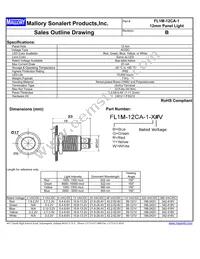 FL1M-12CA-1-Y110V Datasheet Cover