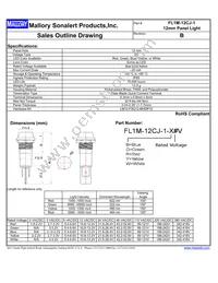 FL1M-12CJ-1-Y110V Datasheet Cover