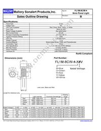FL1M-8CW-4-Y110V Datasheet Cover
