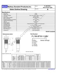 FL1M-8FW-1-Y110V Datasheet Cover