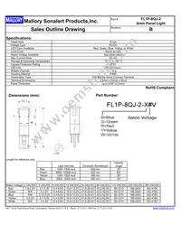 FL1P-8QJ-2-Y110V Datasheet Cover