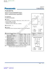 FL6L52010L Datasheet Cover