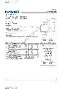 FL6L52060L Datasheet Cover