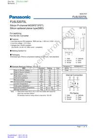 FL6L52070L Datasheet Cover