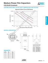 FLBB6I0117K03 Datasheet Page 2