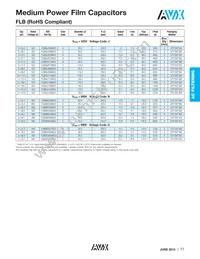 FLBB6I0117K03 Datasheet Page 4