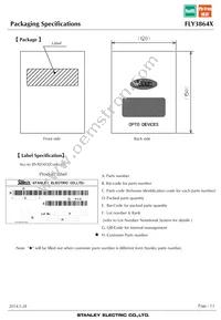 FLY3864X Datasheet Page 13