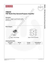 FMB200 Datasheet Page 2