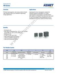 FME0H223ZF Datasheet Cover