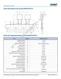 FME0H223ZF Datasheet Page 10