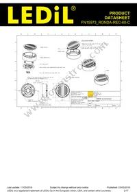 FN15973_RONDA-REC-60-C Datasheet Page 2