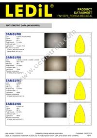 FN15973_RONDA-REC-60-C Datasheet Page 13