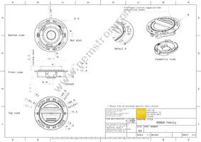 FN15993_RONDA-O Datasheet Page 2