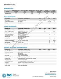 FND300-1012HG Datasheet Page 2