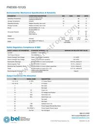 FND300-1012HG Datasheet Page 3