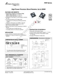 FNPZR0100A Datasheet Cover