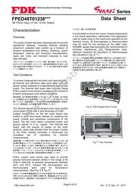 FPED48T01238NA-H Datasheet Page 8