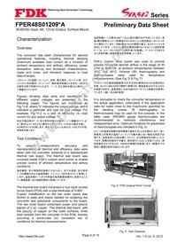 FPER48S01209NA Datasheet Page 8