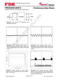 FPER48S01209NA Datasheet Page 13