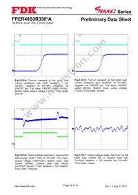 FPER48S3R330NA Datasheet Page 12